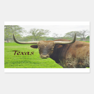 Adesivo Retangular Texas Longhorn "Texas" Sticker