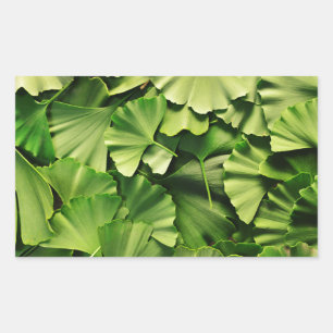 Adesivo Retangular textura da planta da natureza da folha da árvore