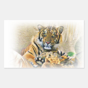 Adesivo Retangular Tiger,Procurando_