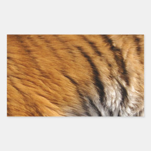 Adesivo Retangular Tigre-Stripes-Big Cat Wildlife