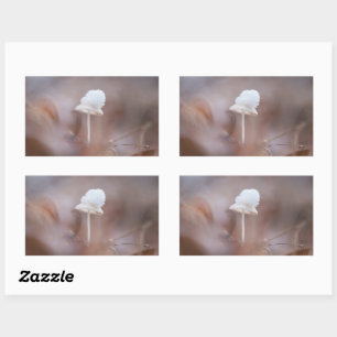 Adesivo Retangular Tiny Mushroom Nature Foto