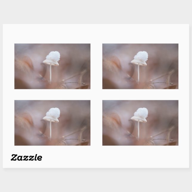 Adesivo Retangular Tiny Mushroom Nature Foto (Folha)