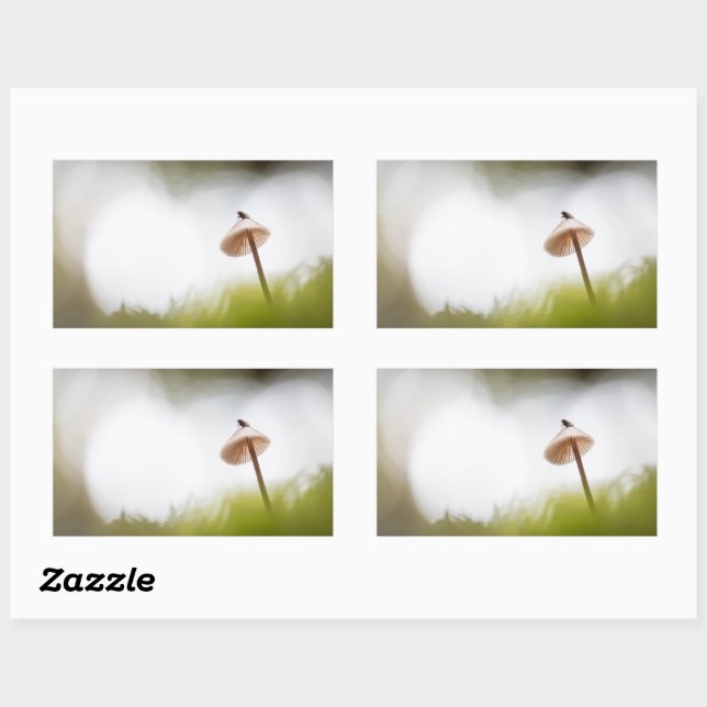 Adesivo Retangular Tiny Mushroom Nature Foto (Folha)