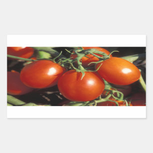 Adesivo Retangular Tomates vermelhos