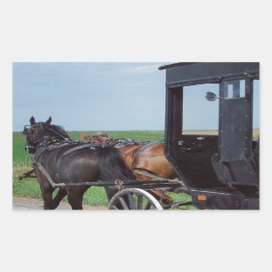 Adesivo Retangular Trabalho junto