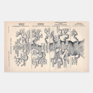 Adesivo Retangular "Tree of Life" - Ilustração 1859 de Ernst Haeckel