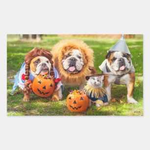 Adesivo Retangular Três Bulldogs Vestidos