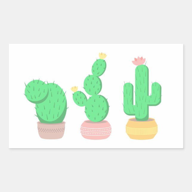 Adesivo Retangular Trio de Cactus Deserto Moderno Boho (Frente)