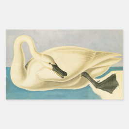 Adesivo Retangular Trompeter Swan por John James Audubon, Vintage Bir