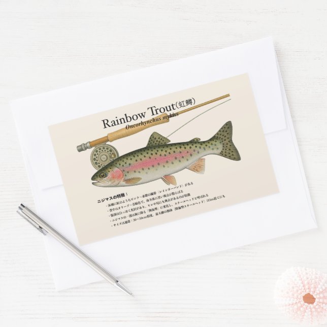 Adesivo Retangular Truta-arco-íris (Oncorhynchus mykiss) – Japonesa (Envelope)