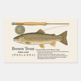 Adesivo Retangular Truta-marrom (Salmo trutta) – Ilustr. Inglesa