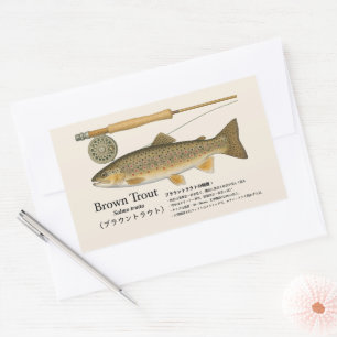 Adesivo Retangular Truta-marrom (Salmo trutta) – Ilustração Japonesa