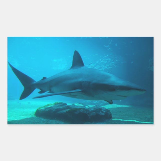 Adesivo Retangular Tubarão-donegro (Carcharhinus Obscurus), Ushaka (Frente)