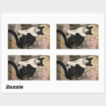 Tuxedo Cat em um Rock Sentado em um Jardim