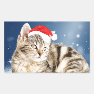 Adesivo Retangular Um Gato Fofo vestindo chapéu vermelho de Papai Noe
