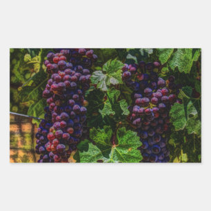 Adesivo Retangular Uvas de vinhas de vinhas de vinha ensolaradas de v