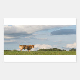 Adesivo Retangular vaca loira d'Aquitaine na região de Dordogne, Fran
