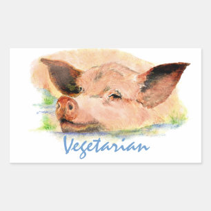 Adesivo Retangular Vegetariano com Porco de Aquarela Cúbica