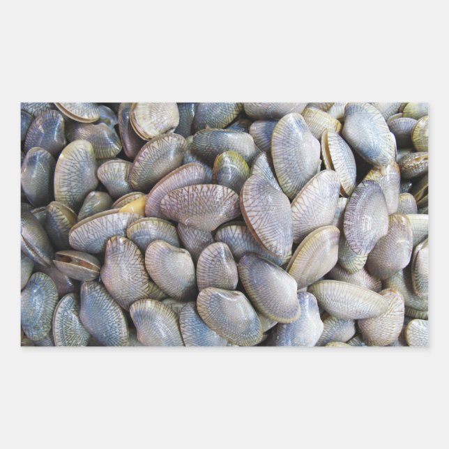 Adesivo Retangular Venus Clam [ห อ ย ล า ย] (Frente)