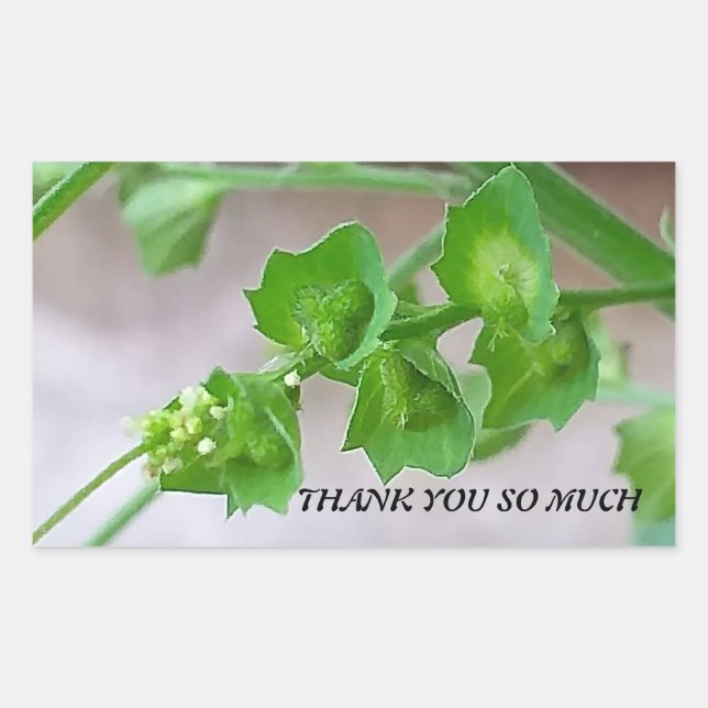 ADESIVO RETANGULAR VESTIDO POR AGRADECIMENTO (Frente)