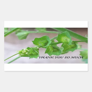 ADESIVO RETANGULAR VESTIDO POR AGRADECIMENTO