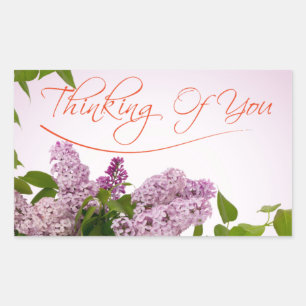 Adesivo Retangular Vinheta