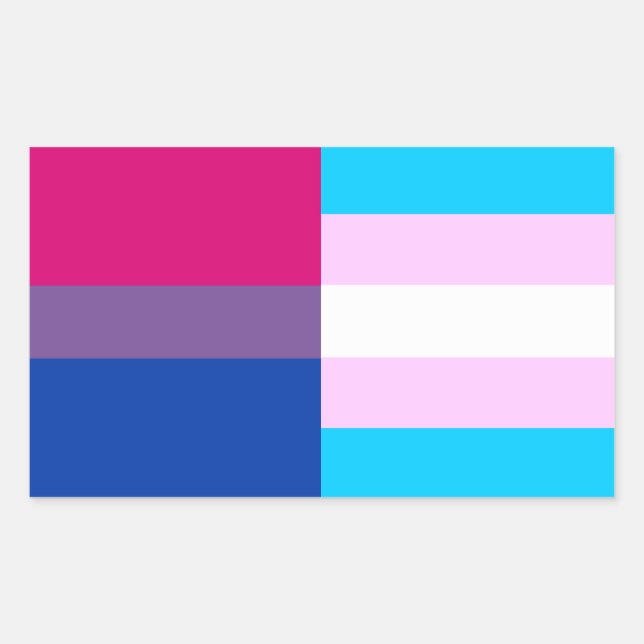 Adesivo Retangular Vinheta de bandeira bissexual/trans (Frente)