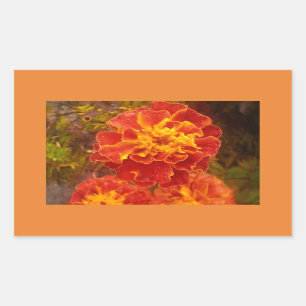 Adesivo Retangular Vinheta de cor laranja Marigold Fall Morning