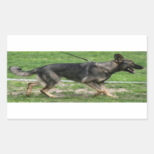 Adesivo Retangular Vinheta de marcha german shepherd