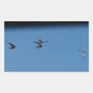 Adesivo Retangular Vinheta de pipas vermelho