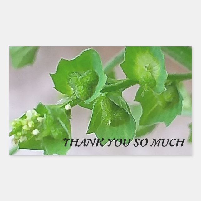 Adesivo Retangular Vinheta para agradecimento (Frente)