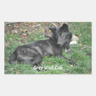 Adesivo Retangular Vinhetas de adeptos da vida selvagem do WOLF CUB c