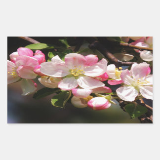 Adesivo Retangular Vinhetas de Páscoa do ventilador