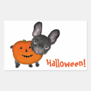 Adesivo Retangular Vinhetas De Retângulo De Halloween Bonitas, Brilha