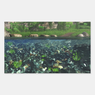 Adesivo Retangular Vinhetas do Rio Cwm