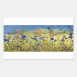 Adesivo Retangular Vinhetas Douradas e aperitivos