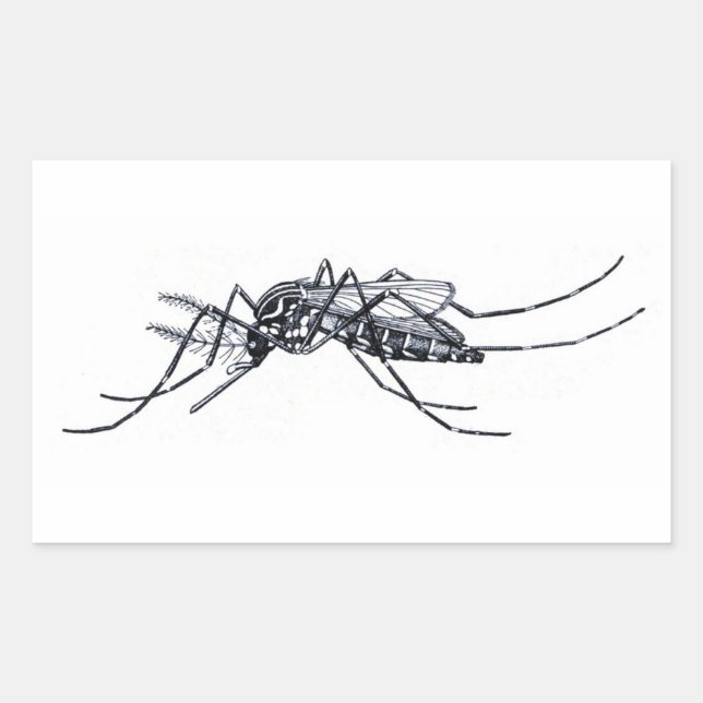 Adesivo Retangular Vintage Aedes aegypti ilustração (Frente)
