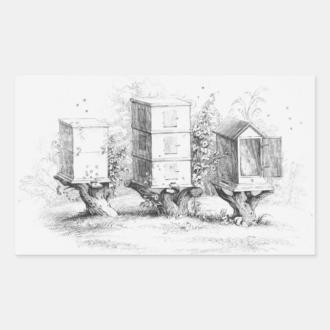 Adesivo Retangular Vintage Bee Boxes Honey (Frente)