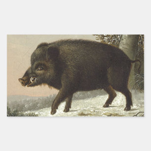 Adesivo Retangular Vintage Brown Boar Hunting Painting, Willife Art
