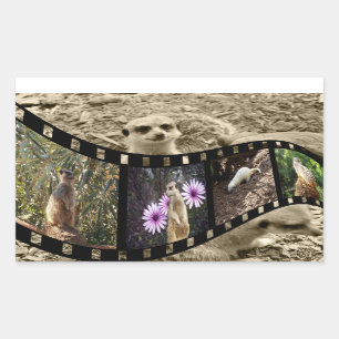 Adesivo Retangular Vintage Meerkat Photo Strip,