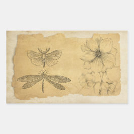 Adesivo Retangular Vintage Parergage Collage Scrapbook