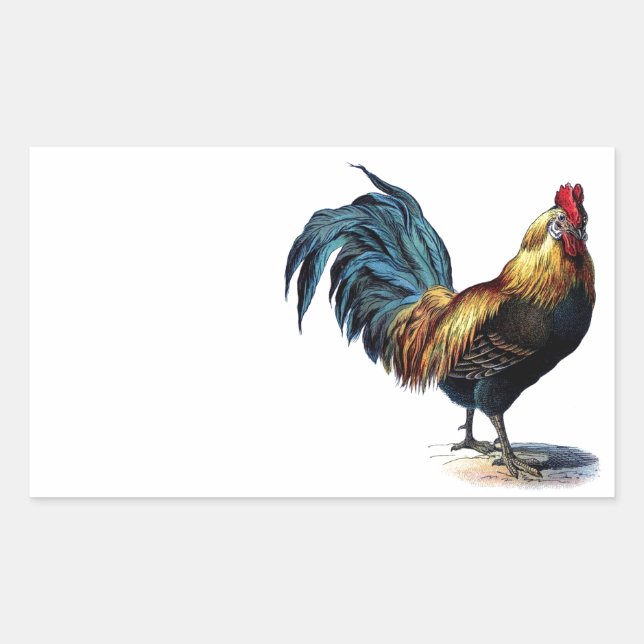 Adesivo Retangular Vintage Rooster (Frente)