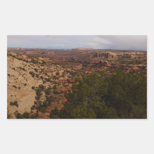 Adesivo Retangular Vista de Canyonlands desde a Trilha Neck Springs (Frente)