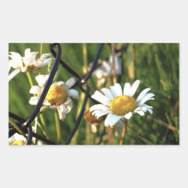 Adesivo Retangular Vrede achter het hek. In bloemen illustratief.