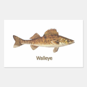 Adesivo Retangular Walleye (Excelentes Lagos)