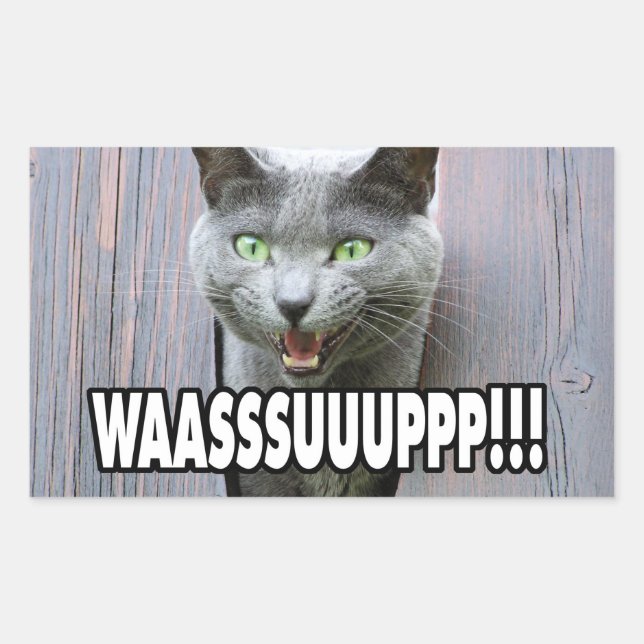 Adesivo Retangular WASSUP - Memória Cat (Frente)