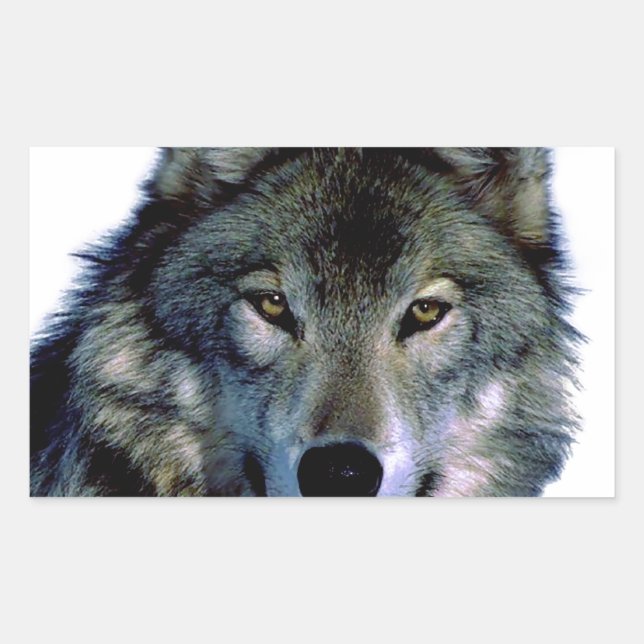 Adesivo Retangular Wolf Portrait (Frente)