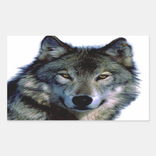 Adesivo Retangular Wolf Portrait