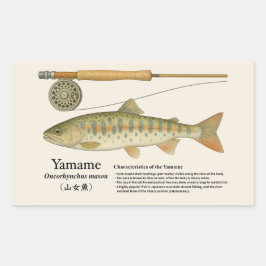 Adesivo Retangular Yamame (Oncorhynchus masou) – Ilustração em inglês