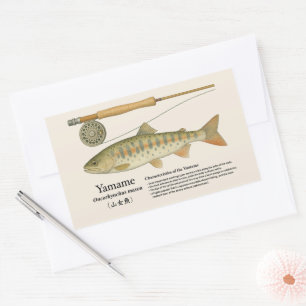 Adesivo Retangular Yamame (Oncorhynchus masou) – Ilustração em inglês